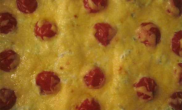 lasagne