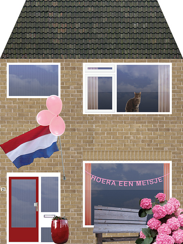 Geboortekaartje Willemijn Steeman